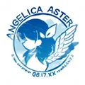 ANGELICA ASTER2025ٷ°汾v1.17.2 Ѱ