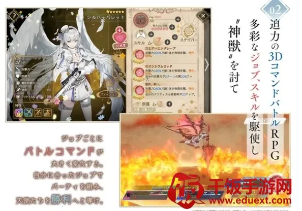 ANGELICA ASTER2025ٷ°汾