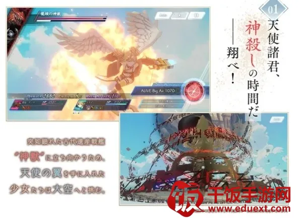 ANGELICA ASTER2025ٷ°汾