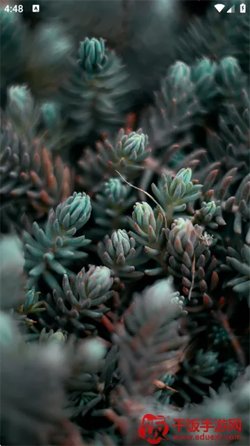 Dock壁纸2025官方正版 Dock壁纸2025官方正版