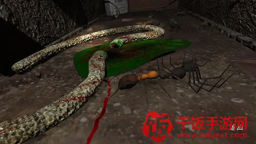 孙美琪疑案122025官方最新版本 孙美琪疑案122025官方最新版本