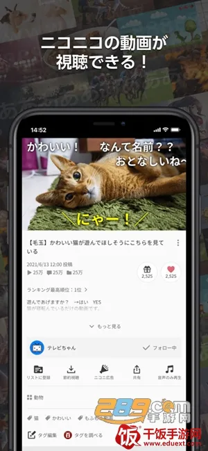 n站(二次元社区平台) n站(二次元社区平台)