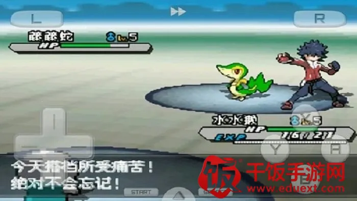 口袋妖怪白22025官方正版 口袋妖怪白22025官方正版