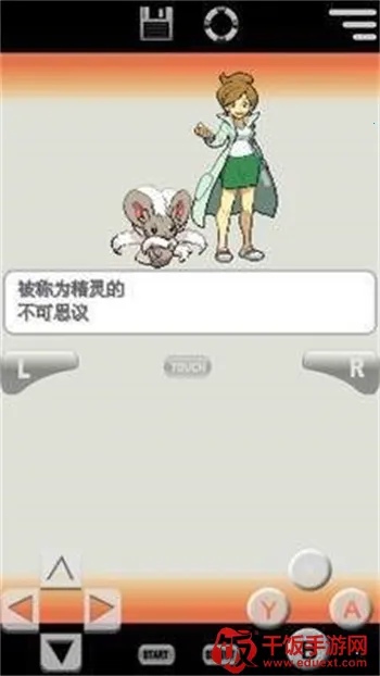 口袋妖怪白22025官方正版 口袋妖怪白22025官方正版