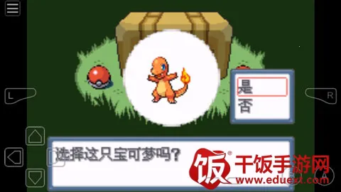 口袋妖怪白22025官方正版 口袋妖怪白22025官方正版