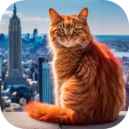 èռǴ(è䶼ðϷ)v1.1 Ѱ