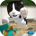 catsimulatorèģ2025ٷ°汾v1.0.0 Ѱ