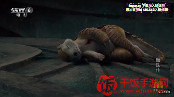 �ʺ����(Ӱ�Ӿ�ۿ�����)