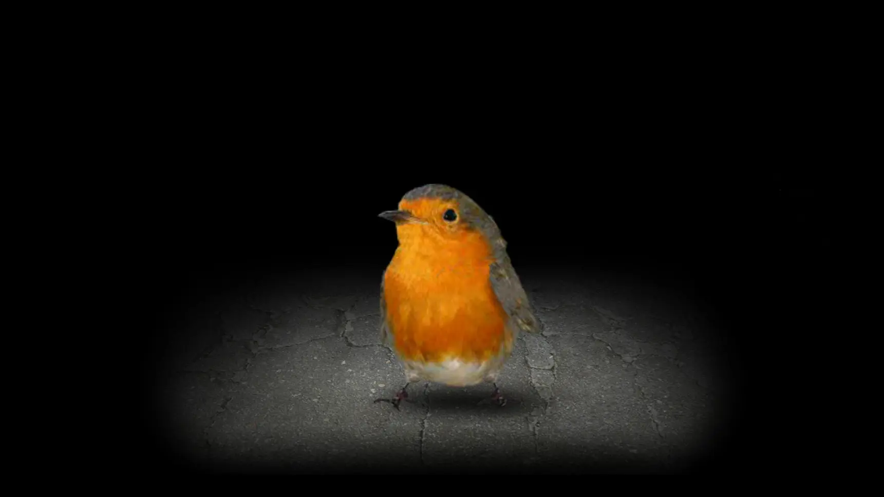 ����һ������(����������Ϸ)