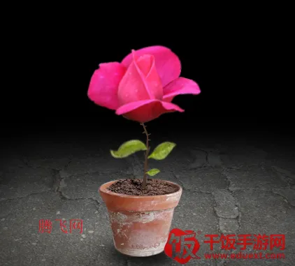 ����һ������(����������Ϸ)