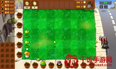 ֲ���ս��ʬ�����(����������Ϸ)