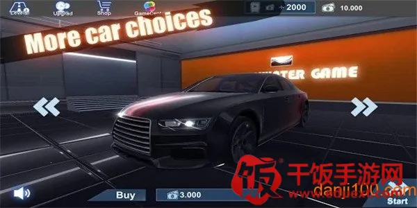 ��ʵ����(ͣ����ʻ��Ϸ)