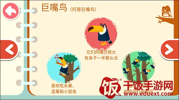 ����������֪(��ͯ������֪��Ϸ)