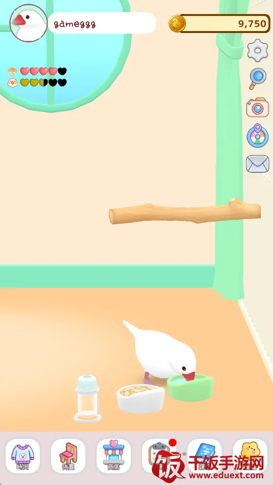 文鸟物语(文鸟养成游戏) 文鸟物语(文鸟养成游戏)