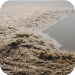 ȫ����ϫ��2025���°汾v1.1.3 ��׿��