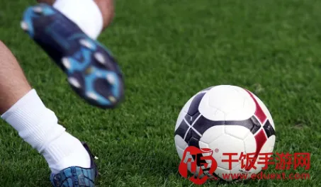 有球有料最新手机版 有球有料最新手机版