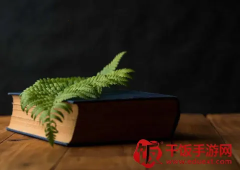 ׷��С˵(С˵�Ķ�ƽ̨)