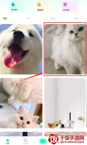 ���ӱ�ֽ(�ֻ���ֽƽ̨)