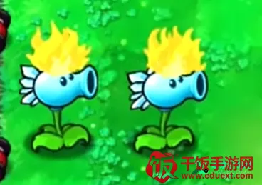 ֲ���ս��ʬ����