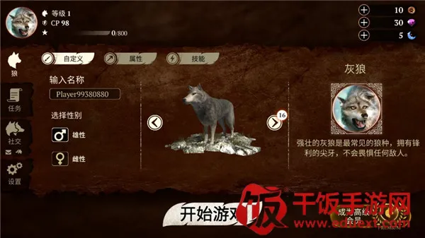 ����2026���°汾