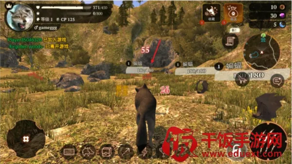 ����2026���°汾