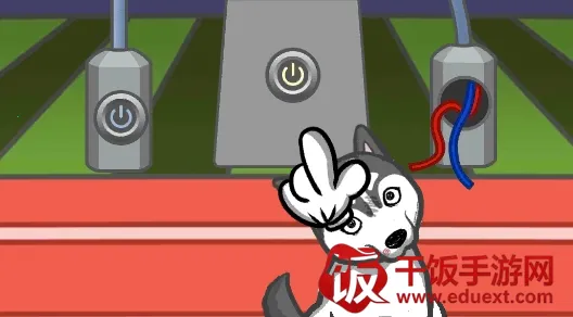 竟然养二哈 竟然养二哈