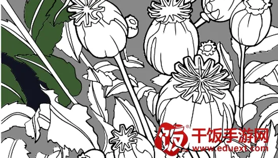 �滭��ʦ��׿���ֻ���