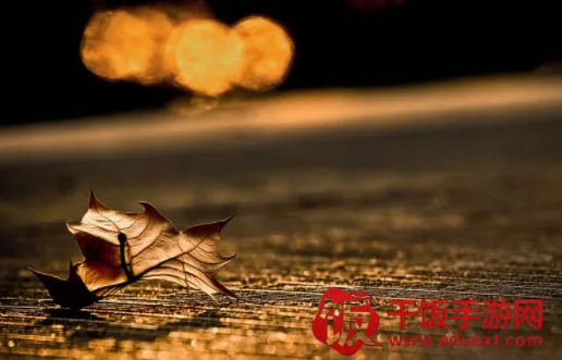 番茄清单最新手机版 番茄清单最新手机版