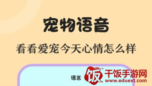 喵喵动物翻译器2026官方最新版本 喵喵动物翻译器2026官方最新版本