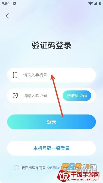 ����Ư��ƿ2026�ٷ�����