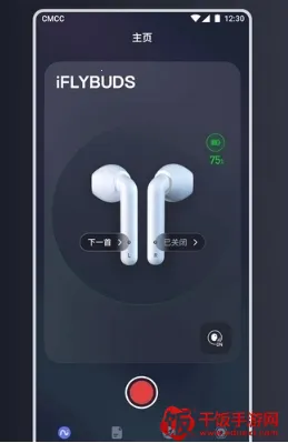 科大讯飞iFLYBUDS 科大讯飞iFLYBUDS