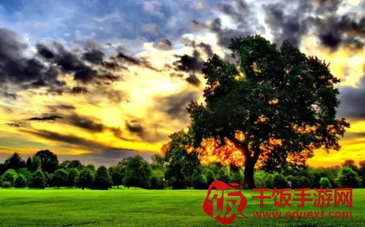 ��ӳ���2026�ٷ����°汾