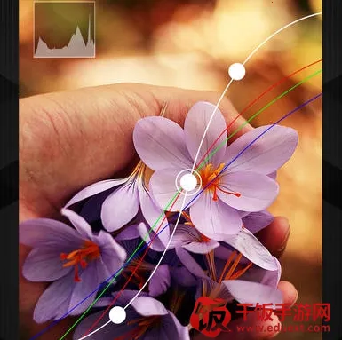 mix滤镜2026最新版本 mix滤镜2026最新版本