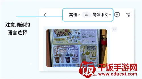 翻译鸥2026官方正版 翻译鸥2026官方正版