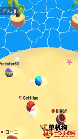 ��ײ����ս