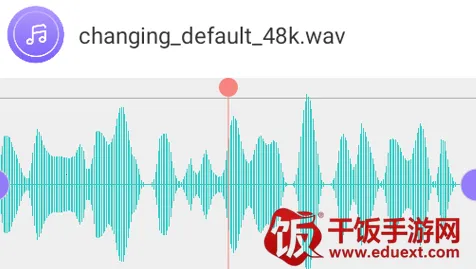 ��Ƶת������