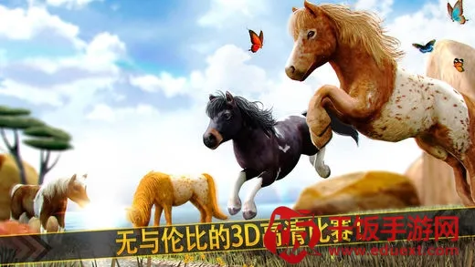 天马行空 天马行空