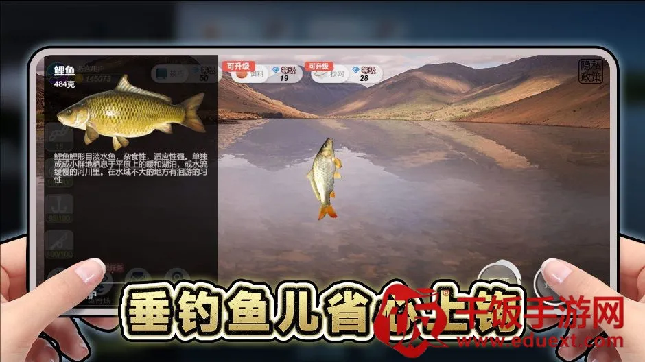 ���ε����������ֻ���