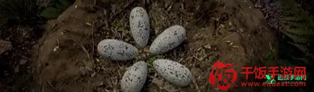 恐龙岛生存进化 恐龙岛生存进化