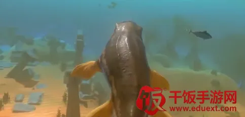 海洋霸权争夺战 海洋霸权争夺战