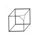 ��������2026�ٷ����°汾v4.0.42 �ֻ���