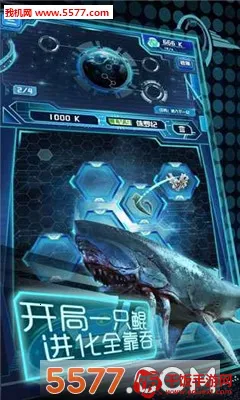 �������������