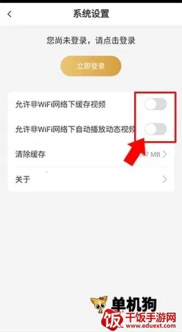 ����ѧ��