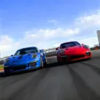 ����ͣ����