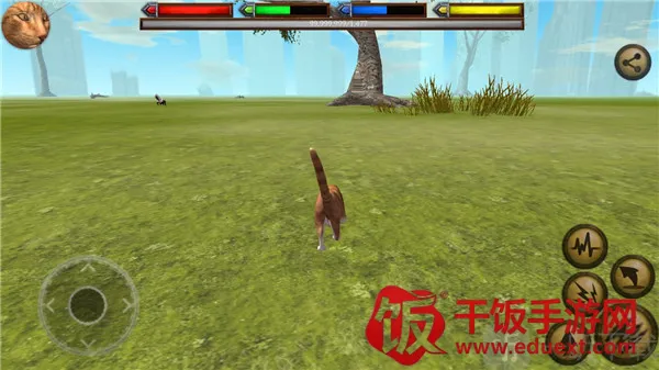 �ռ�èģ����