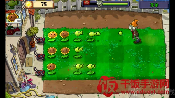 ׯ����ֲ���ս��ʬ�����ֻ���