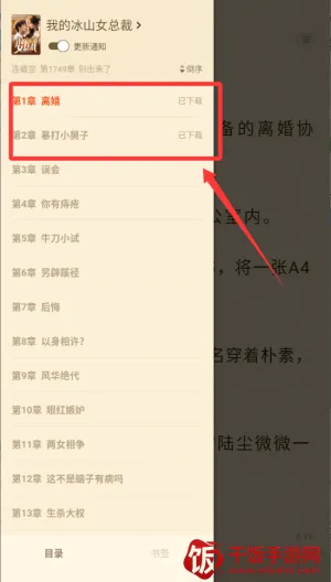 ��צС˵����