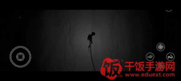 ������ֳ����ȷ���������2026�ٷ�����