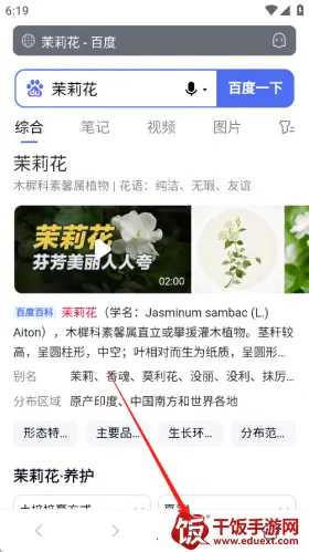 ����������ٷ�������