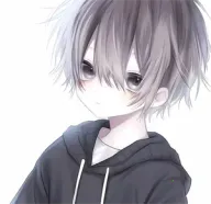 ����������3.0v990 �ٷ�����